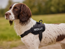 Load image into Gallery viewer, Custom dog harness name patch, colour style options
